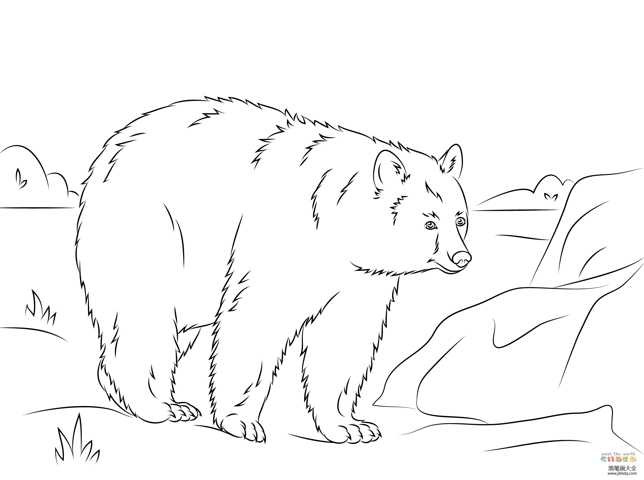 简单的黑熊简笔画图片