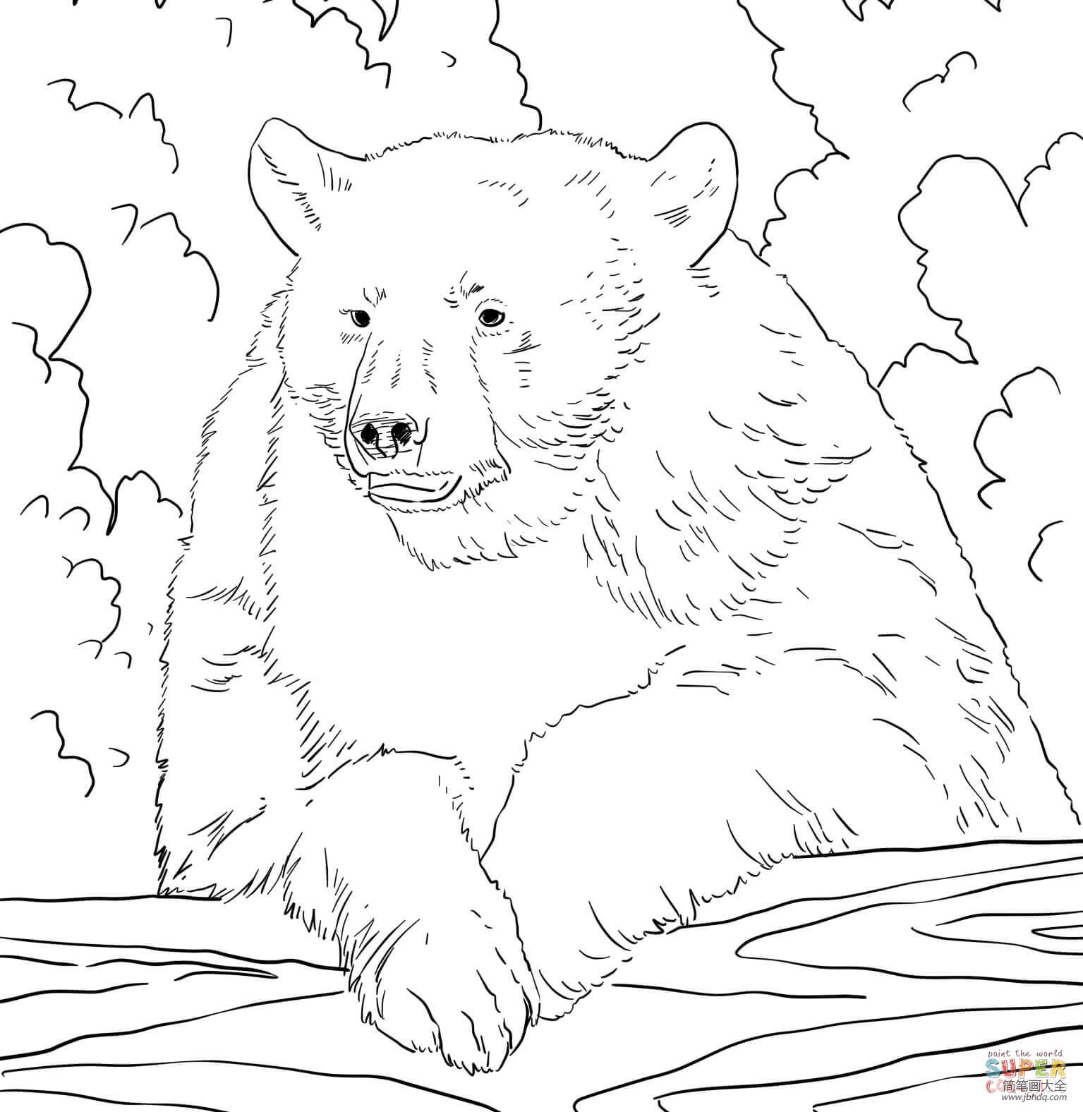 简单的黑熊简笔画图片