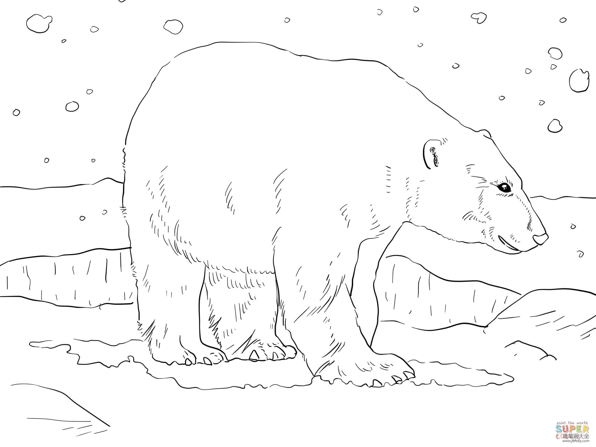 在冰上的北极熊怎么画图片