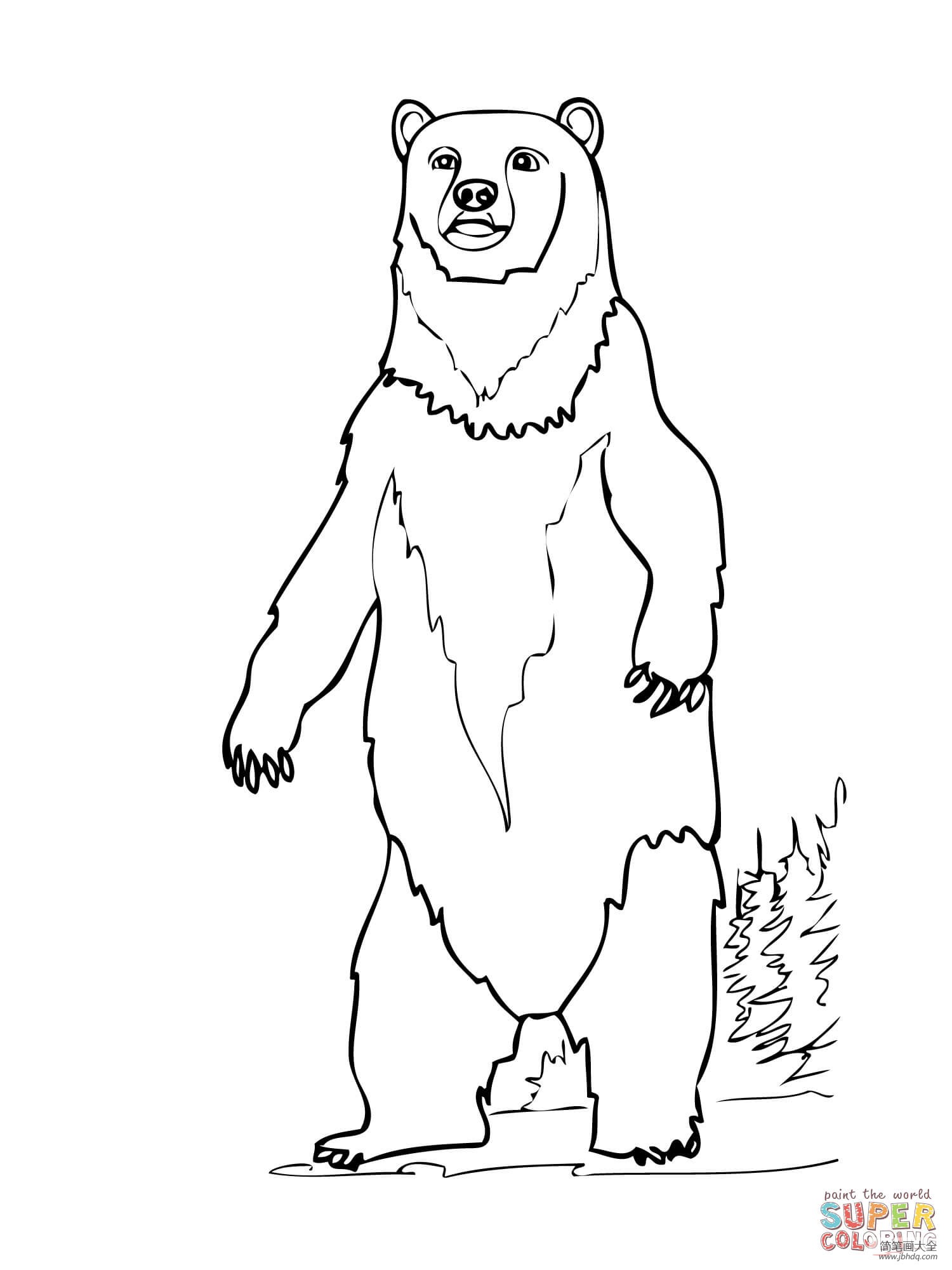 棕熊图片卡通简笔画图片