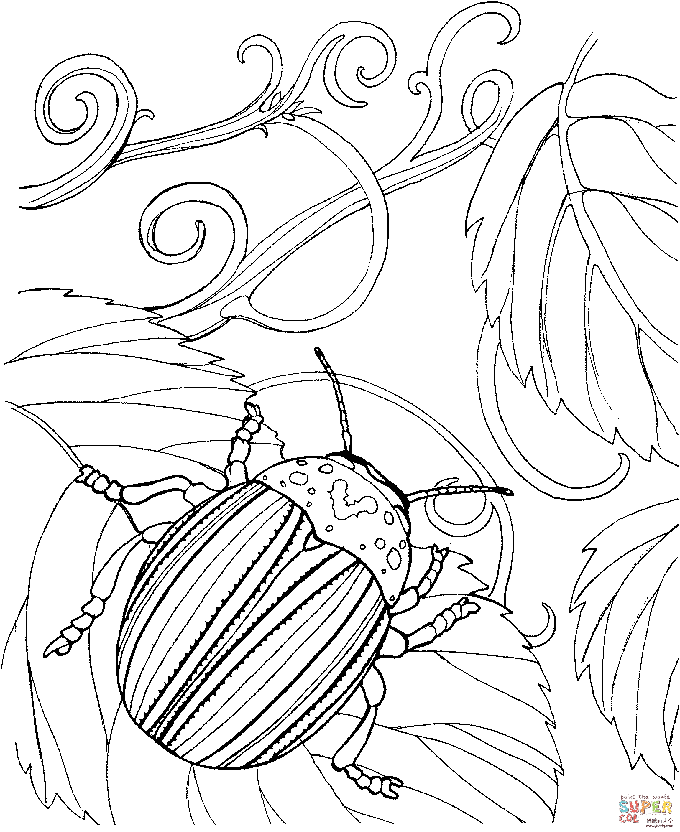 金甲虫简笔画图片
