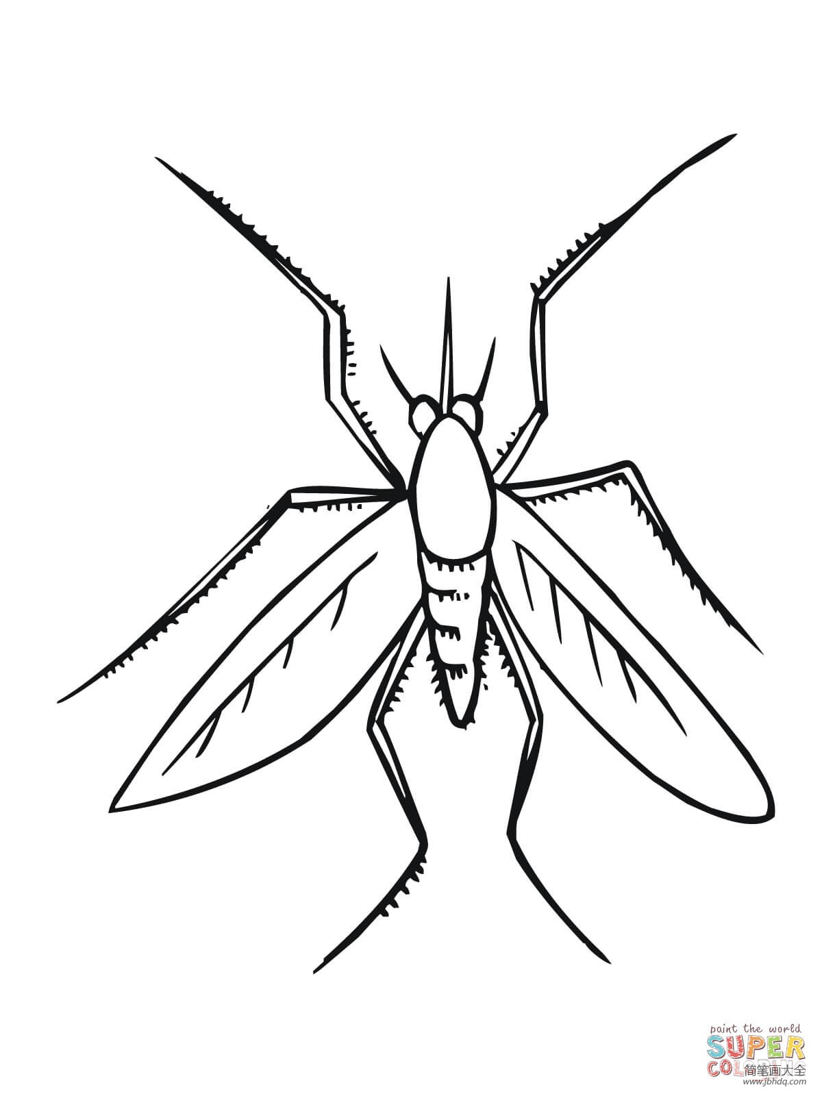 蚊子画法图片