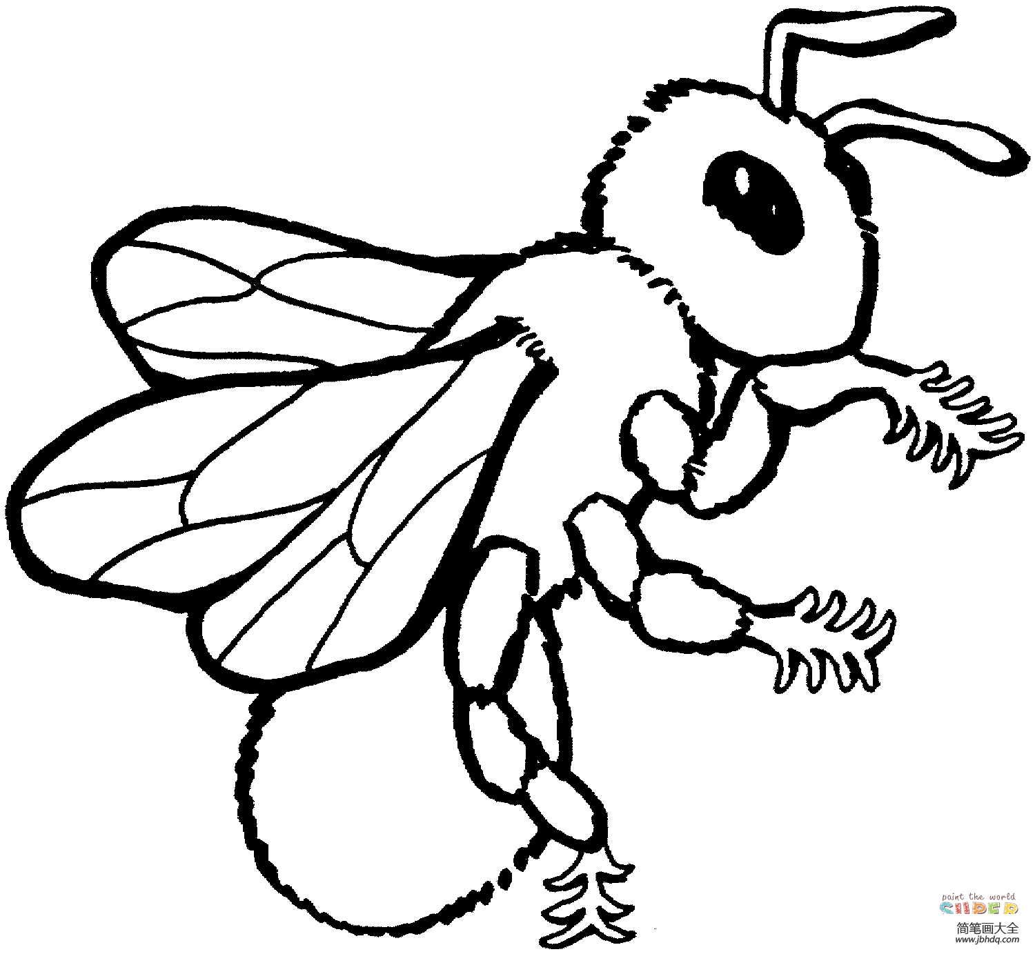 切叶蜂怎么画简笔画图片