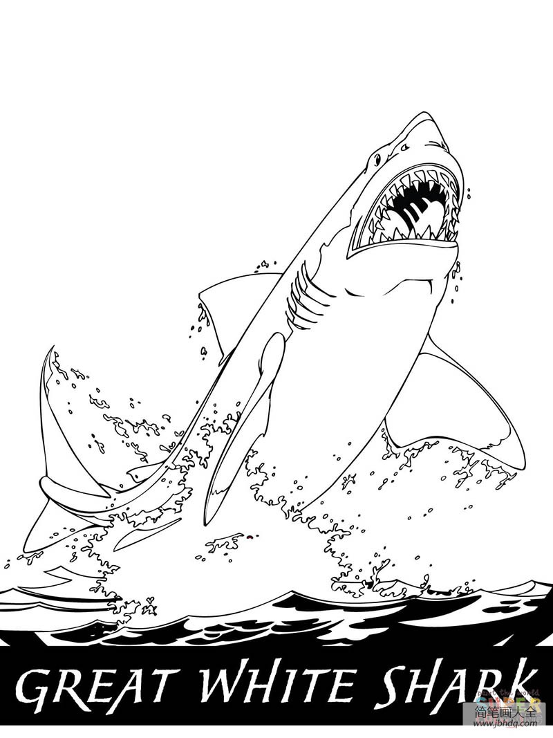 学画大白鲨恐怖图片