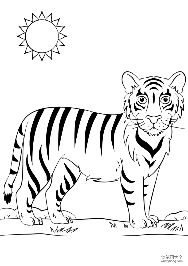 怎样画老虎 简单美术图片