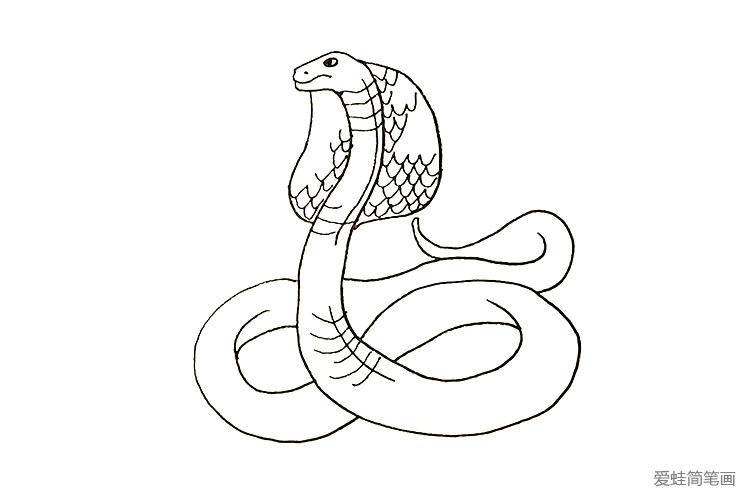 伏地魔的蛇怎么画图片