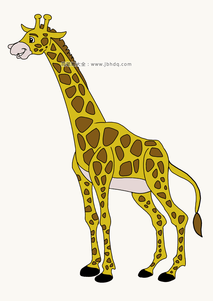 长颈鹿简笔画图片