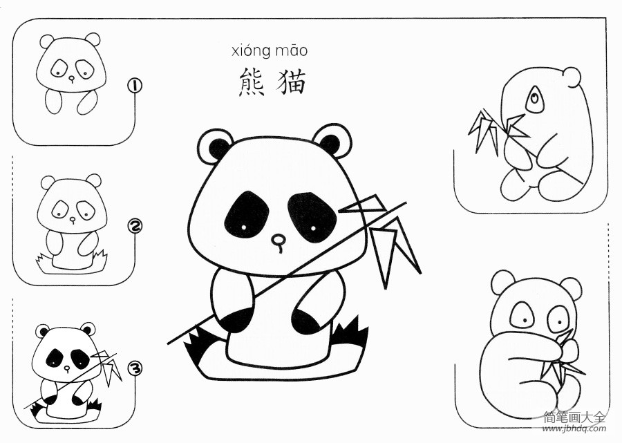 大熊猫的简笔画 全身图片