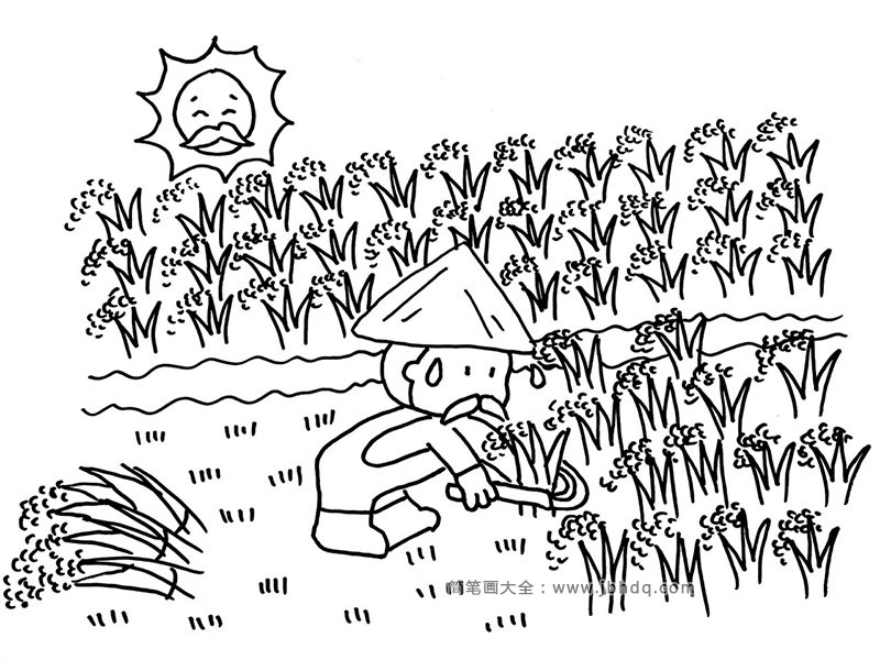 水稻简笔画 丰收图片