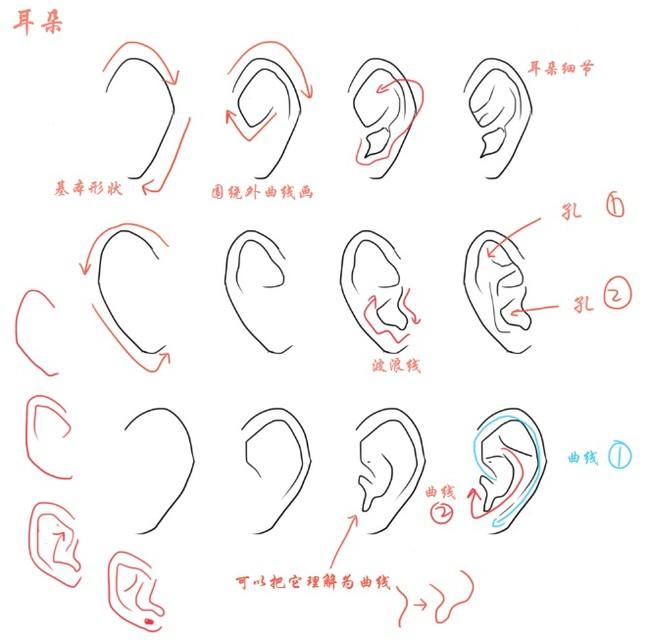 q版耳朵画法图片