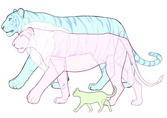 【推荐】动物的绘画方法(老虎,狮子等猫科—在线学画画专区