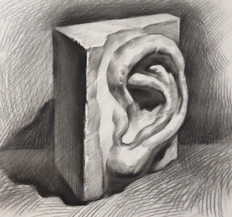 素描石膏耳朵 画法图片