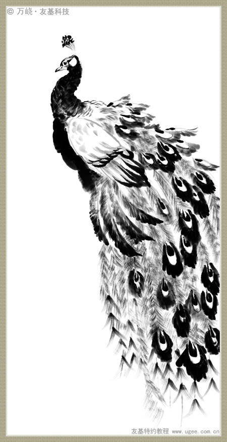 国画孔雀羽毛的画法图片
