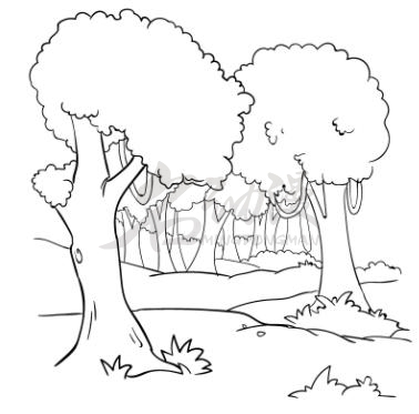 树林简单画法图片