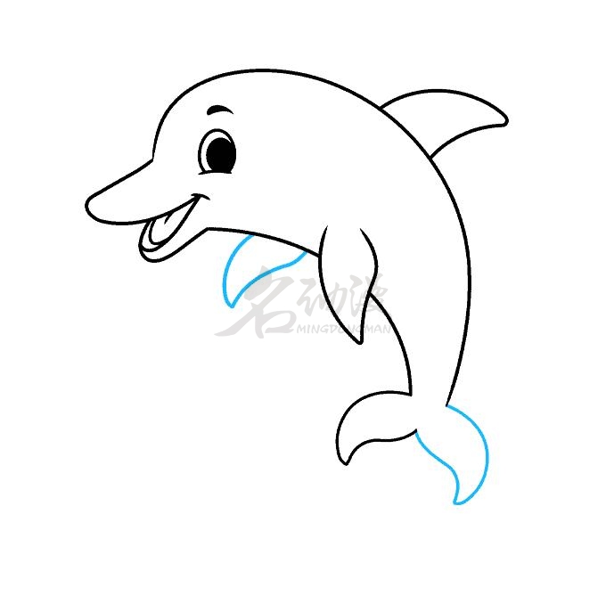 海豚画法大全图片