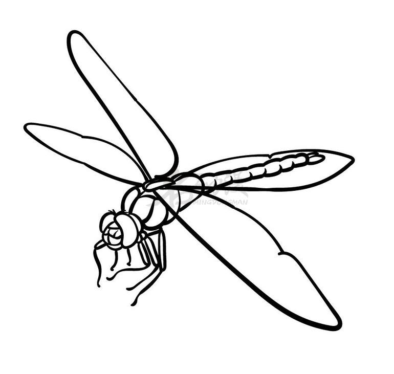 6969第五步:接着使用使用一些复杂的曲线和波浪线来绘制蜻蜓翅膀
