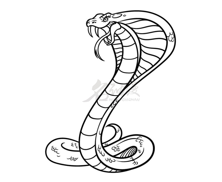 怎样画一只凶猛的蛇图片