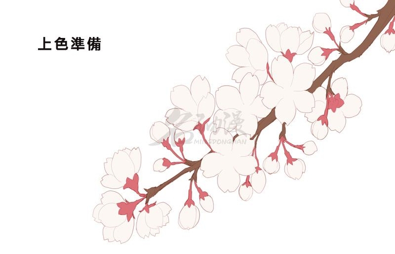 如何画出好看的樱花