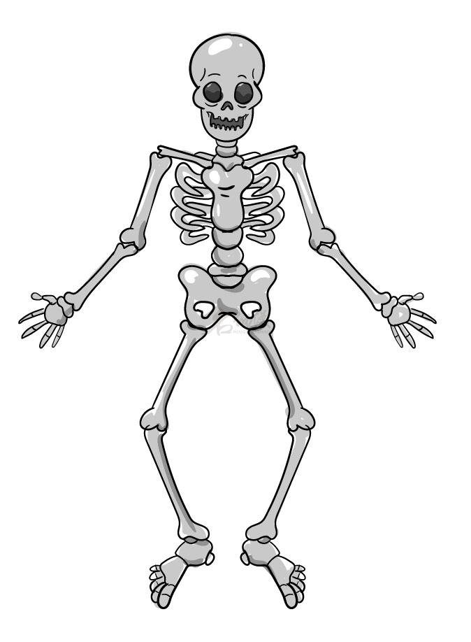 人体骨骼简笔画图片