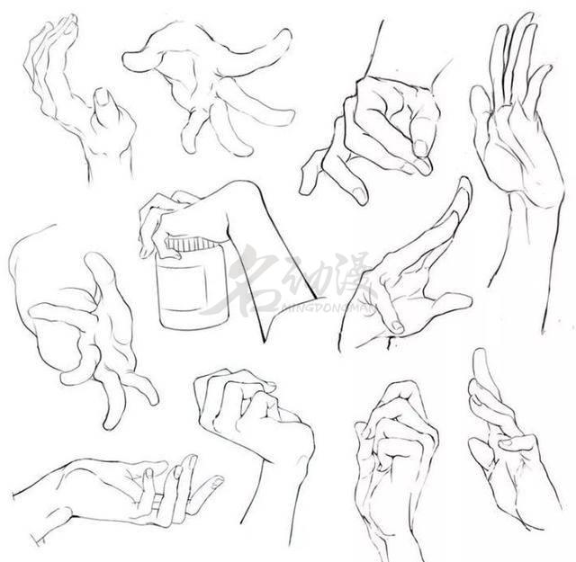 绘画技巧之手部姿势画法