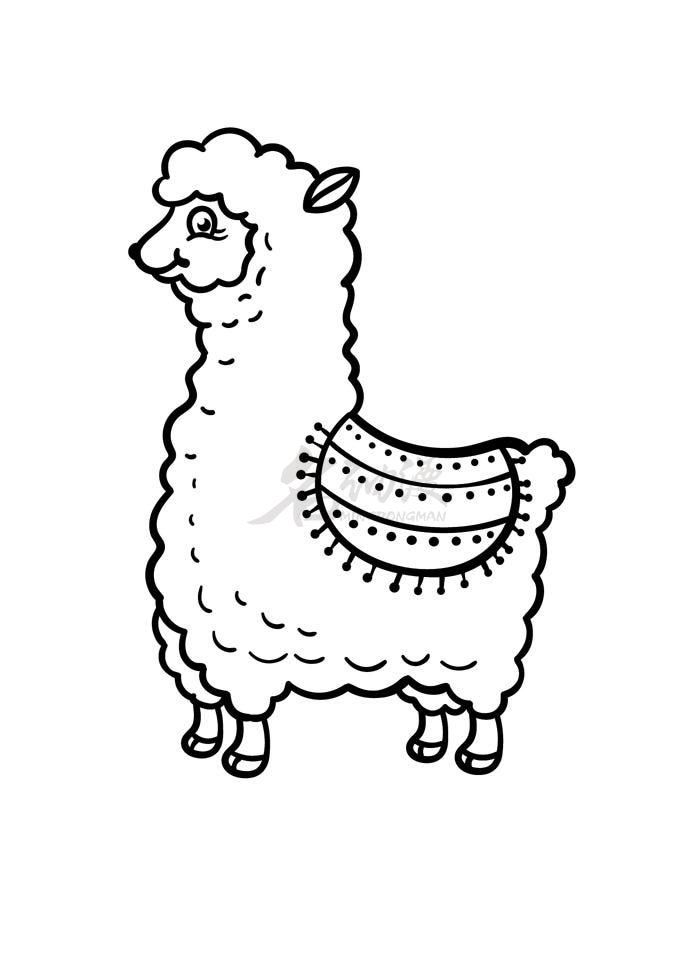 羊驼简单画法