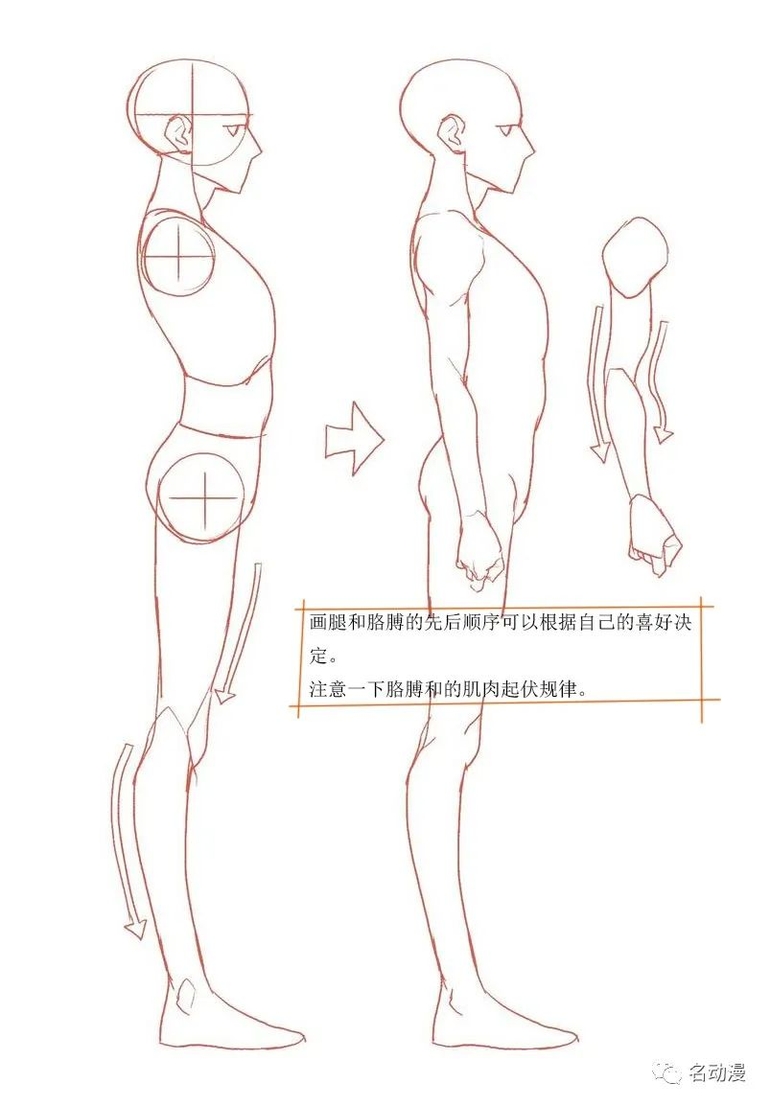 侧身人体画法图片