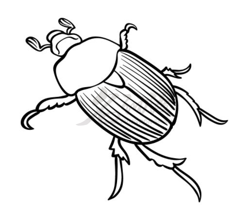 如何画一只甲虫图片