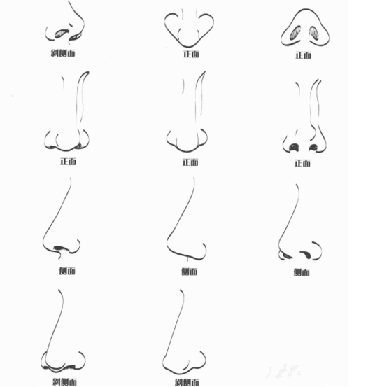 漫画鼻子的画法图片