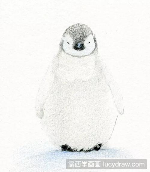 企鹅怎么画?企鹅的彩铅画步骤是什么?