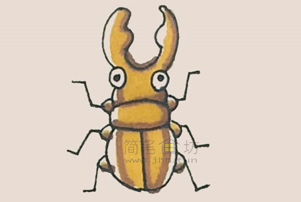 3)扁锹形虫简笔画画法(2)扁锹形虫简笔画画法(1)巨陶锹甲属于大型甲虫
