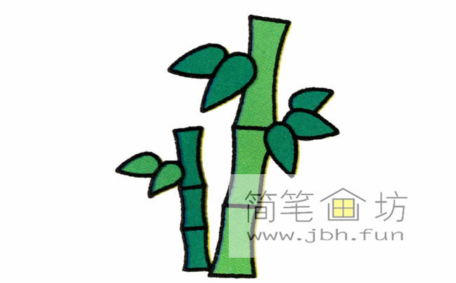 茁壮成长的小竹子的简笔画画法(2)
